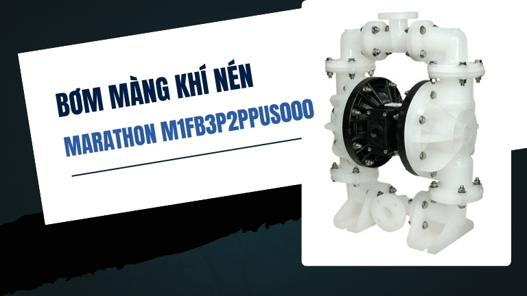 Marathon M1FB3P2PPUS000