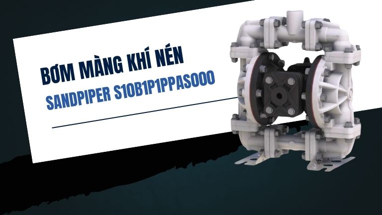 Sandpiper S10B1P1PPAS000