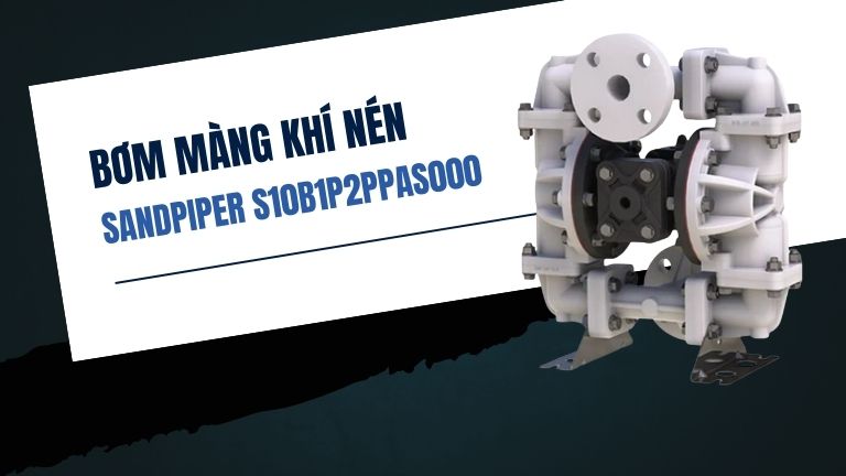 Sandpiper S10B1P2PPAS000