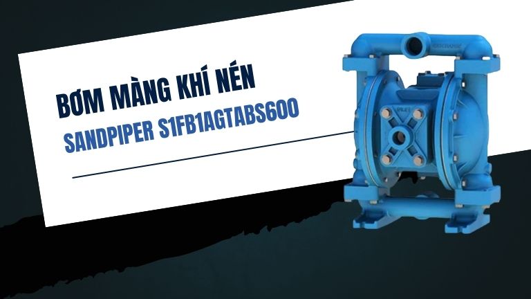 Sandpiper S1FB1AGTABS600