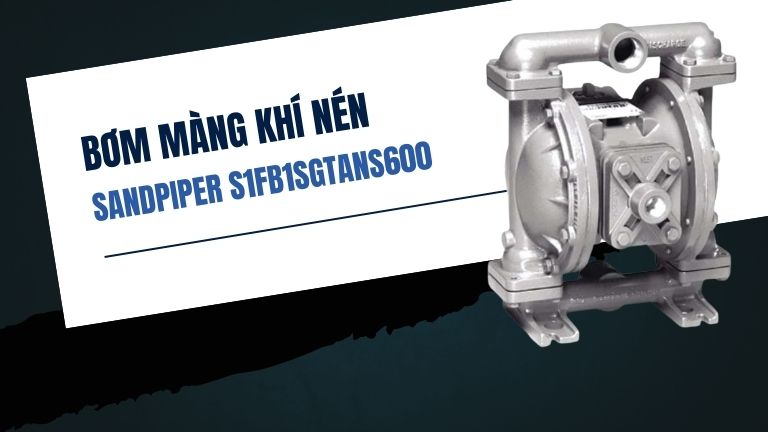 Sandpiper S1FB1SGTANS600