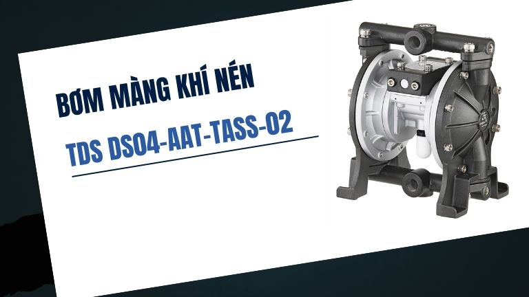 TDS DS04-AAT-TASS-02