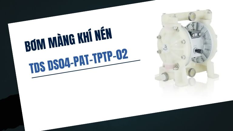 TDS DS04-PAT-TPTP-02