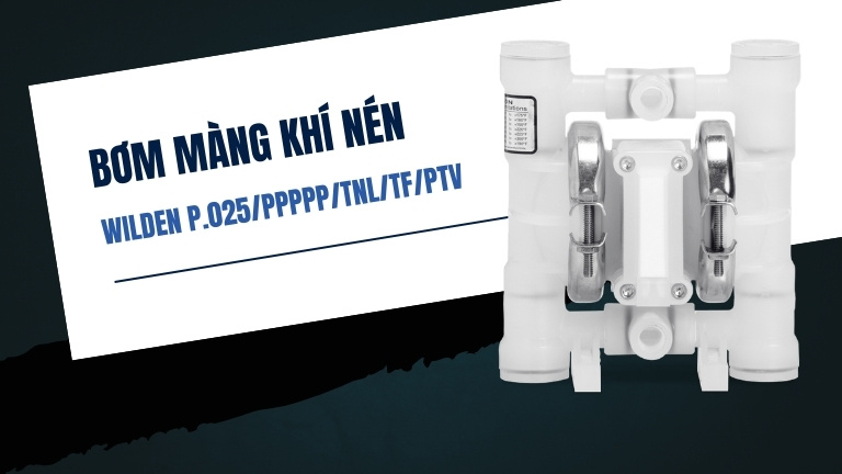 Wilden P.025/PPPPP/TNL/TF/PTV