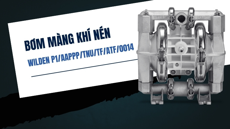 Wilden P1/AAPPP/TNU/TF/ATF/0014