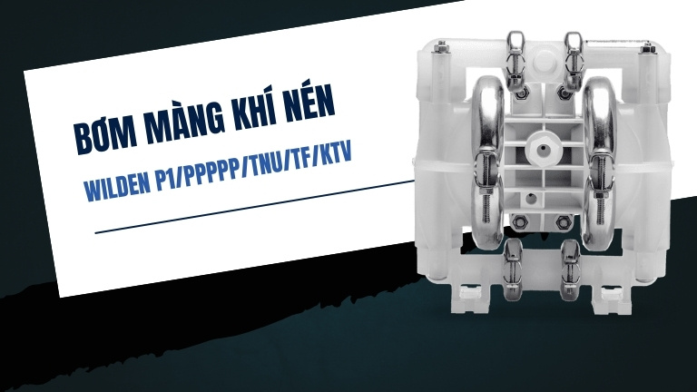 Wilden P1/PPPPP/TNU/TF/KTV