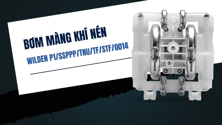 Wilden P1/SSPPP/TNU/TF/STF/0014