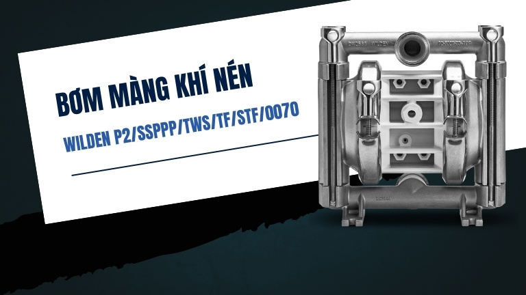 Wilden P2/SSPPP/TWS/TF/STF/0070