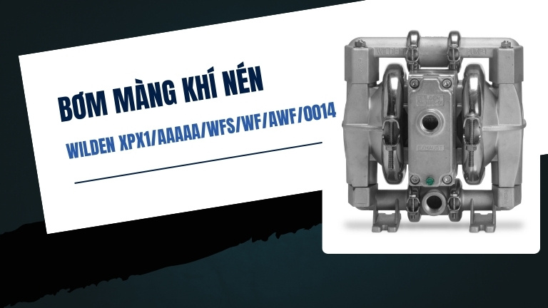 Wilden XPX1/AAAAA/WFS/WF/AWF/0014